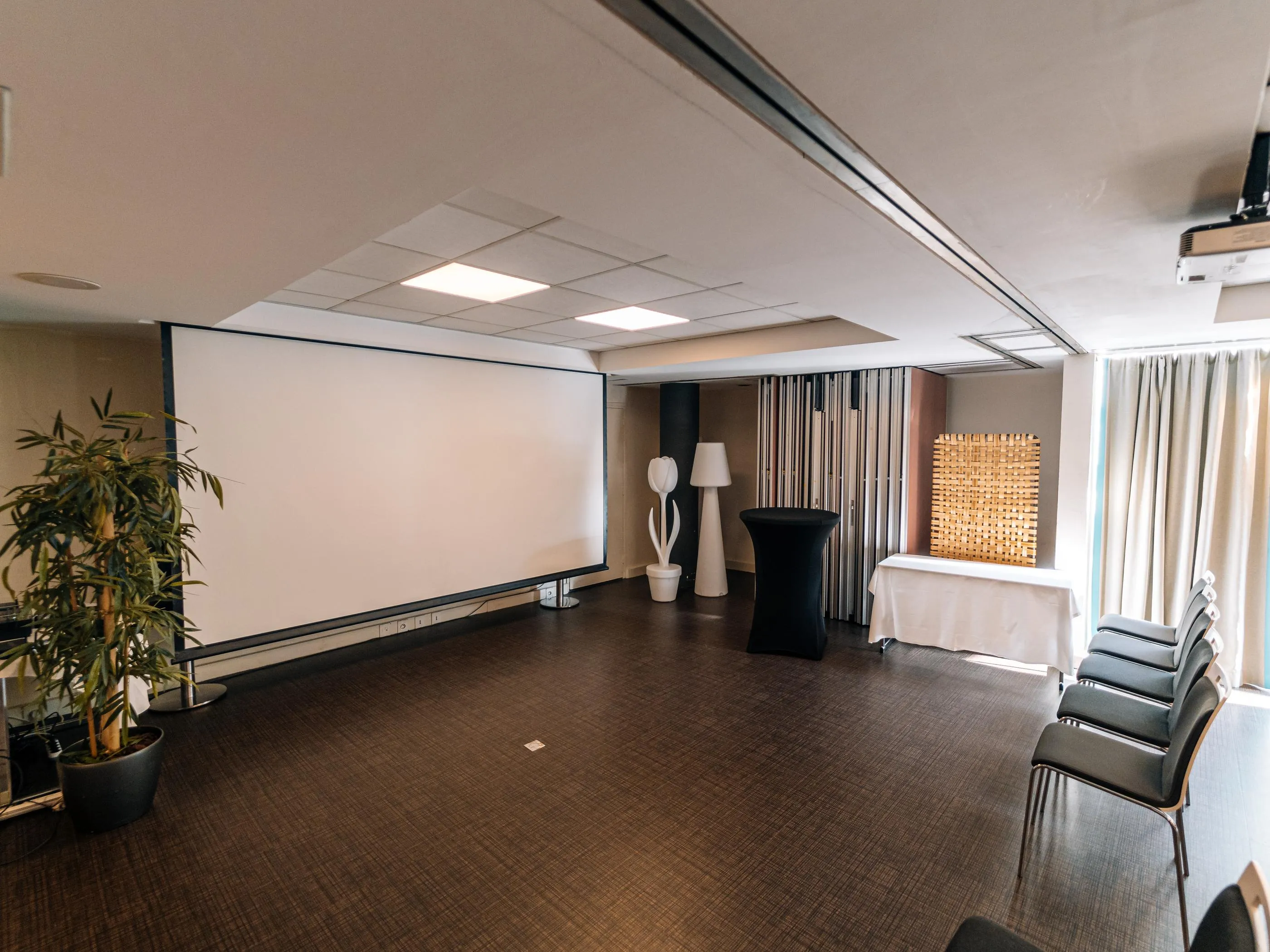 Salle de réunion vide avec un écran, des chaises, une plante et des lampes décoratives