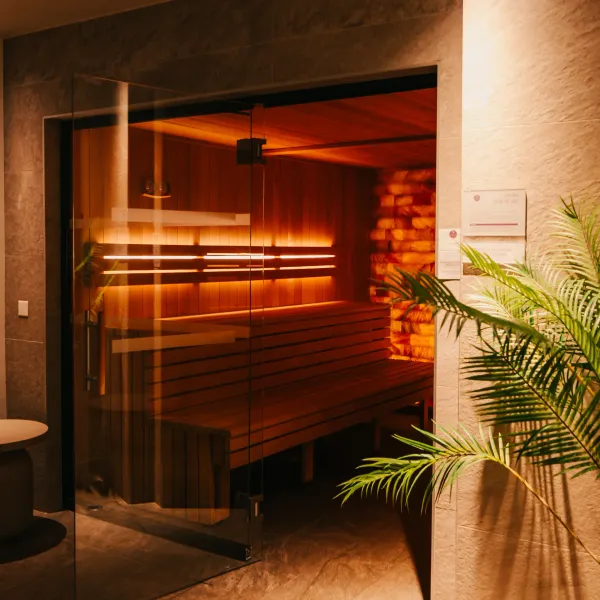 Salle de sauna en bois éclairée avec des bancs, vue à travers une porte vitrée, entourée de plantes vertes